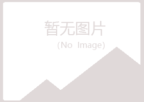 铁岭紫山能源有限公司